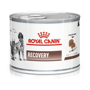 Pâtée en boîte Chien et Chat Royal Canin Recovery 12 x 195 g